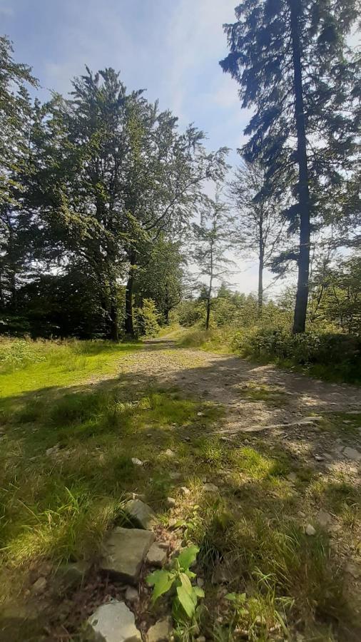 Apartament Spacerowo-Rowerowy Kamieniolom Kozy 60M2 Appartement Kozy Wielkie Buitenkant foto